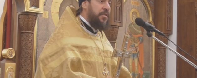 ПРОПОВЕДЬ ПРОТОИЕРЕЯ ДИМИТРИЯ ЛЕСКИНА В НЕДЕЛЮ 20-Ю ПО ПЯТИДЕСЯТНИЦЕ