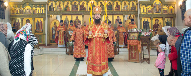 Архипастырский визит в Покровский храм села Ташёлка